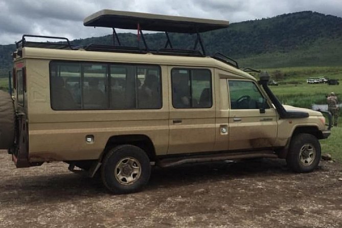 5 days serengeti, ngorongoro, tarangire & manyara lodge tour - Serengeti game drives and the value of time