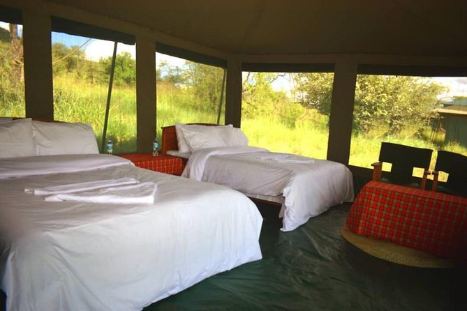 5 days serengeti, ngorongoro, tarangire & manyara lodge tour - Lodge comfort, camping equipment, and what to clarify