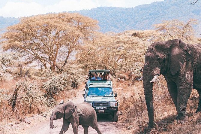 5 days serengeti, ngorongoro, tarangire & manyara lodge tour - What Tarangire adds to the first day
