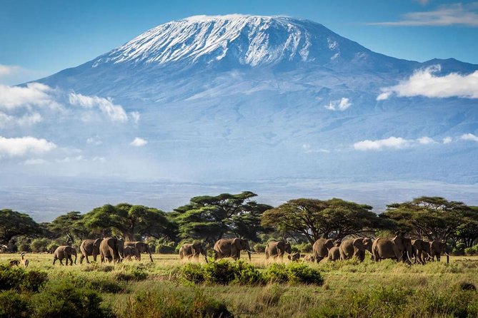 5 days Serengeti Wildebeest Migration Safari - What the $3,550 Price Really Covers