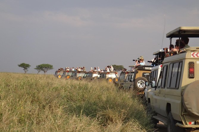 5 Days Special Safari to see migration - Day 1: Tarangire’s river and baobab country