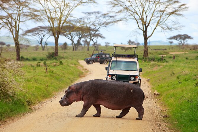 5 Days Tanzania Budget Camping Safari from Arusha - What the $1,100 price really buys you