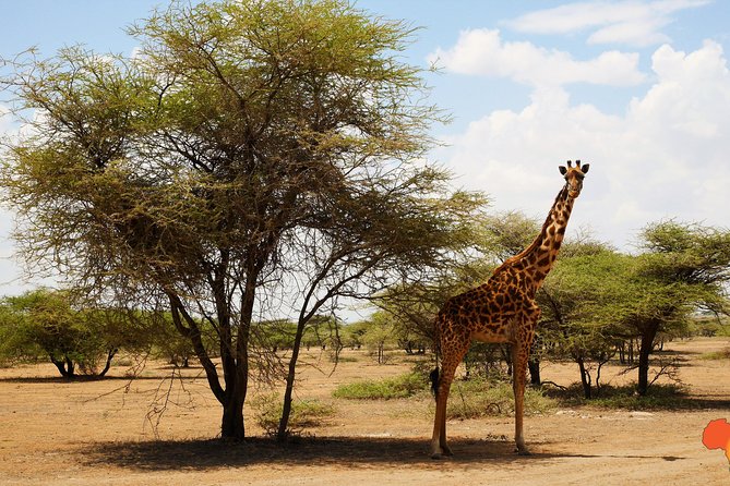 5 days Tanzania Camping Safari - Why this five-day route works