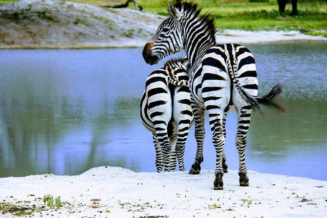 5 Days Tanzania Family Safari - Day 2: the long road to the Serengeti