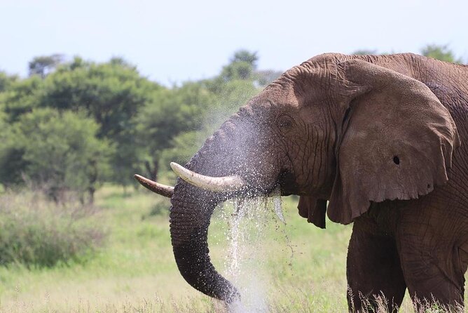 5 Days Tanzania Joining Safari with Pick Up Included Shared Tour - Why this five-day route works