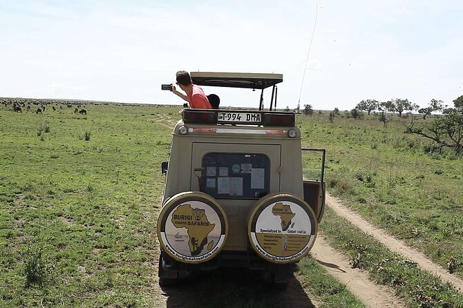 5 days Tanzania midrange lodge Private safari - What the $3,175 price covers
