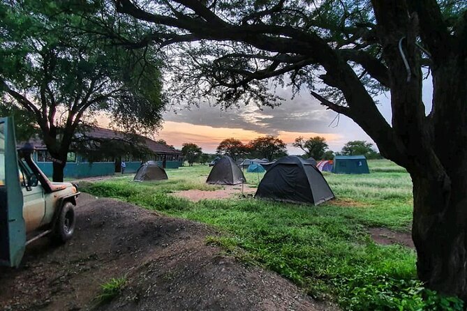 5 Days Tanzania's Wildlife Joint Safari. - Day 4: Inside the Ngorongoro Crater