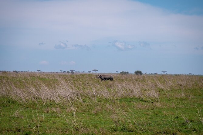 5 Days Tanzania's Wildlife Joint Safari. - Day 2: The long road to Serengeti