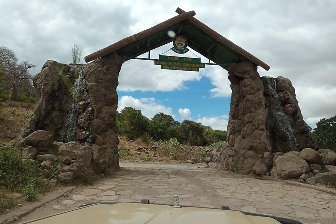 5 Days Tanzania Safari from Mwanza to Arusha - Meals, camping, and the practical side of safari life