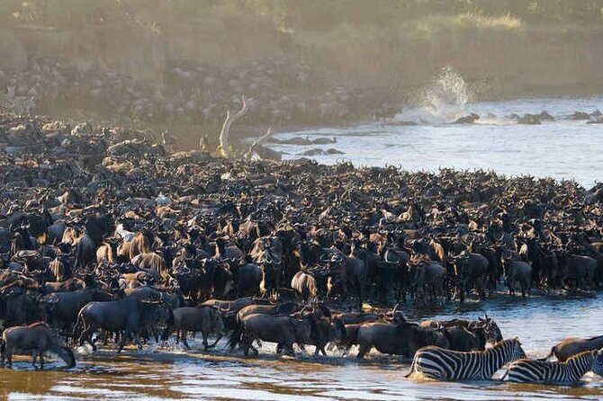 5 Days Tanzania Safari Great Wildebeest Migration - A five-day route built around the migration