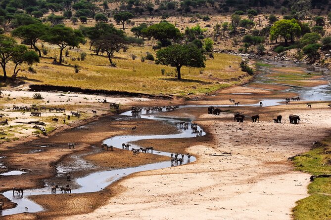 5 Days Tanzania Safari Great Wildebeest Migration - Day 2: Crossing toward the Serengeti