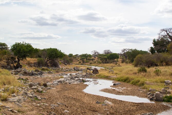 5 Days Tanzania Safari Great Wildebeest Migration - Camping, meals, and what the price covers