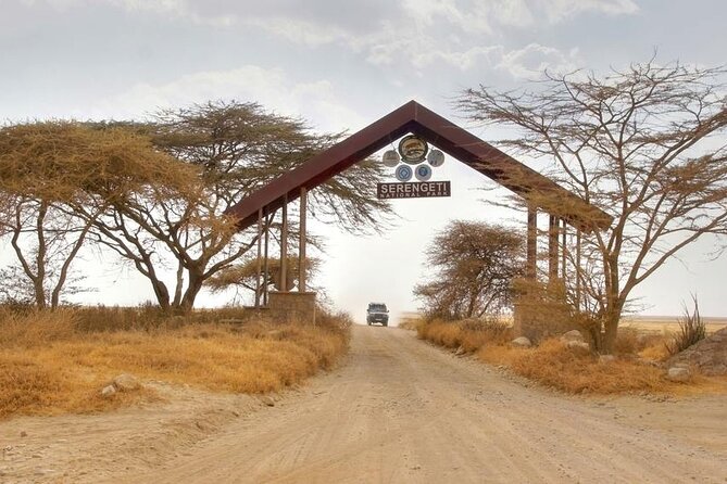 5 Days Tanzania Safari Great Wildebeest Migration - Day 1: Tarangire and its big baobabs