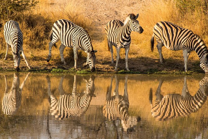 5-days Tarangire-Serengeti-Ngorongoro Safari - What the $2,116 price really includes
