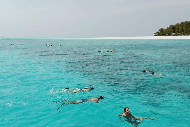 5-Hour Snorkeling, Swimming with Dolphins and Sea Turtles Aquarium - Mnemba snorkeling: the strongest part of the outing