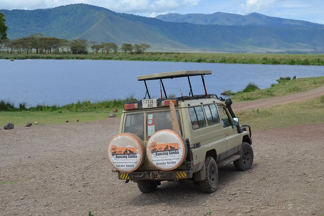 5days Tanzania Safari lodge and camping Serengeti, Tarangire & Ngorongoro Crater - Day 4: A final Serengeti drive and the crater rim