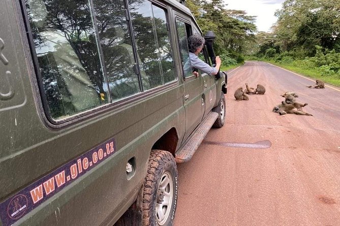 5days Tarangire,Serengeti,ngorongoro Crater and Lake Manyara National park - Day 2: From Tarangire through the Rift Valley to Serengeti