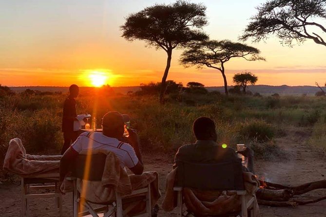 5days Tarangire,Serengeti,ngorongoro Crater and Lake Manyara National park - Camps, meals, and the private vehicle