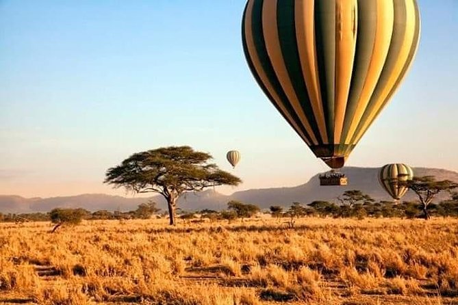 5days Tarangire,Serengeti,ngorongoro Crater and Lake Manyara National park - Day 1: Tarangire and the first elephant encounter