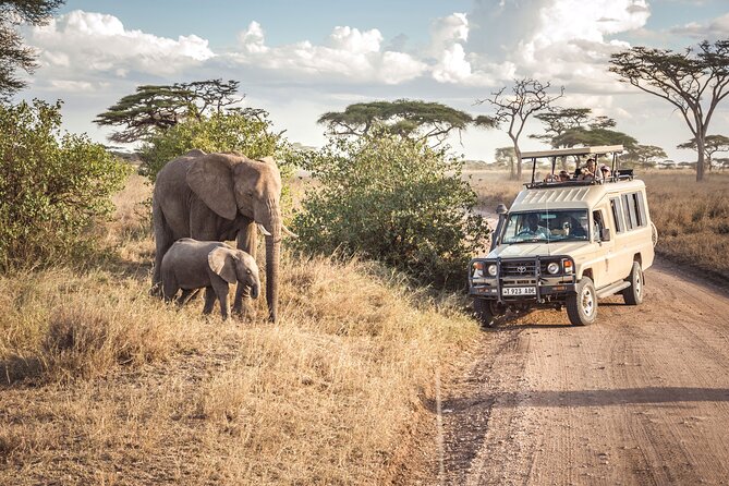 6- Day Adventure Lodge safari to see Migration - Day 5: From Serengeti to the Ngorongoro rim