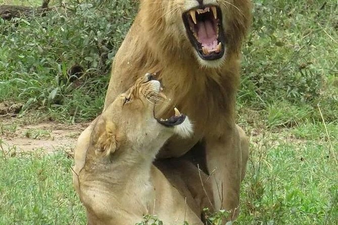 6- Day Adventure Lodge safari to see Migration - What the $2,100 price really covers