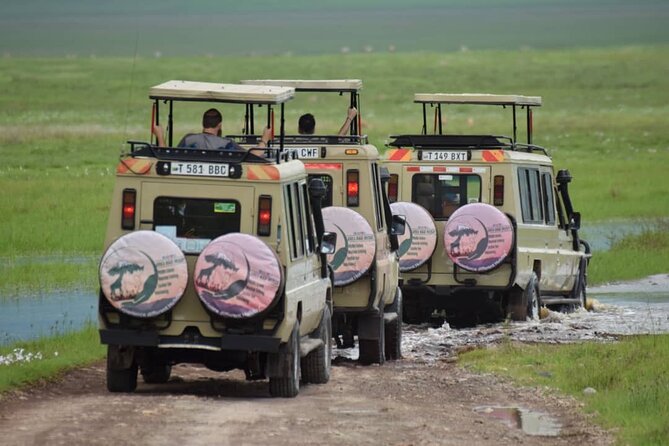6-Day Big Five Magic Safari Tour - Day 2: The long road into the Serengeti