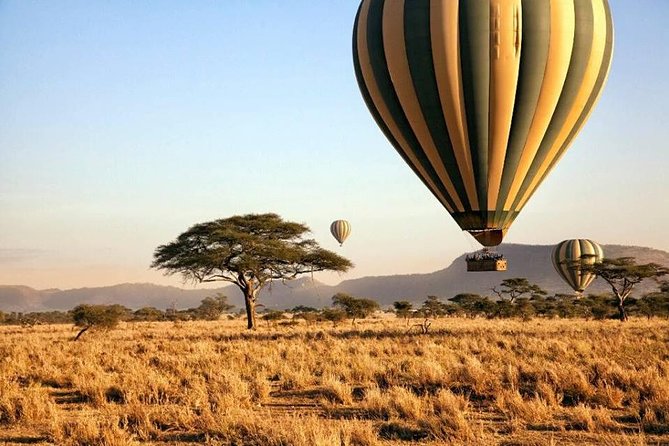 6-Day Budget Lodge Safari in Tanzania - Days three and four in Serengeti: the safari centerpiece