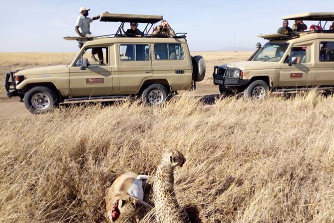 6-Day Budget Lodge Safari in Tanzania - What the budget lodge package really covers