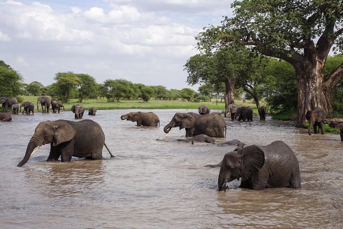 6-Day Budget Lodge Safari in Tanzania - The people and planning behind the trip