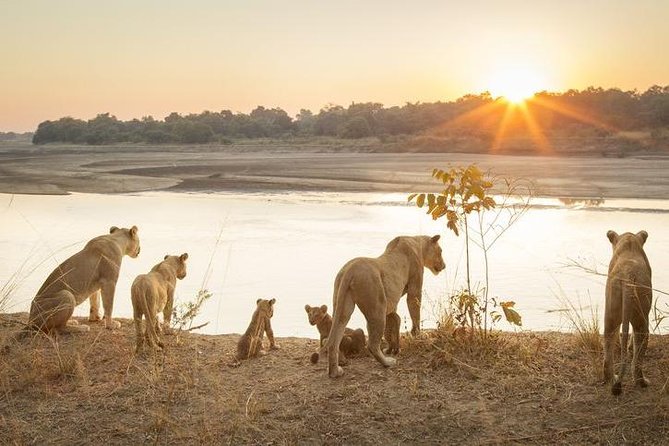 6-Day Budget Lodge Safari in Tanzania - Day one in Tarangire: elephants and wide-open country
