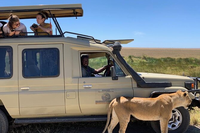 6 Day Group Camping Safari Tarangire Serengeti Ngorongoro Manyara - Day 5: Down into Ngorongoro Crater