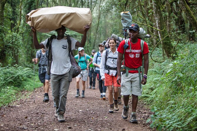 6-Day Guided Tour in Machame Route Mt Kilimanjaro - What the Machame Route feels like