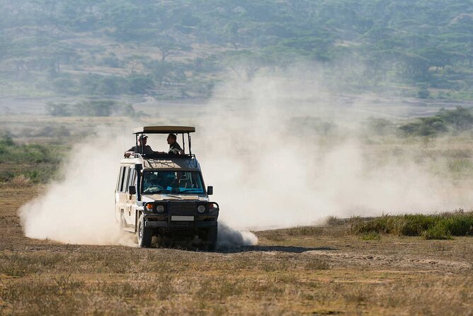 6-Day Honeymoon Safari Tour Package in Tanzania - A six-day route built around Tanzania’s big three