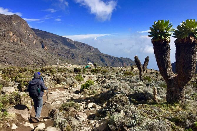 6-Day Kilimanjaro Climbing Via Machame Route - Day 4: Barranco Wall and the South Circuit