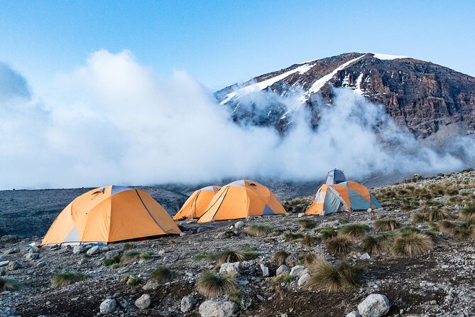 6-Day Kilimanjaro Climbing Via Machame Route - Day 6: Descending through forest to Mweka Gate