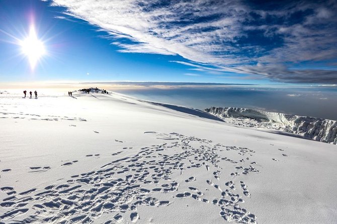 6-Day Kilimanjaro Machame Route – A Stunning Trek to Uhuru Peak - Day 2: Moorland and the Shira Plateau