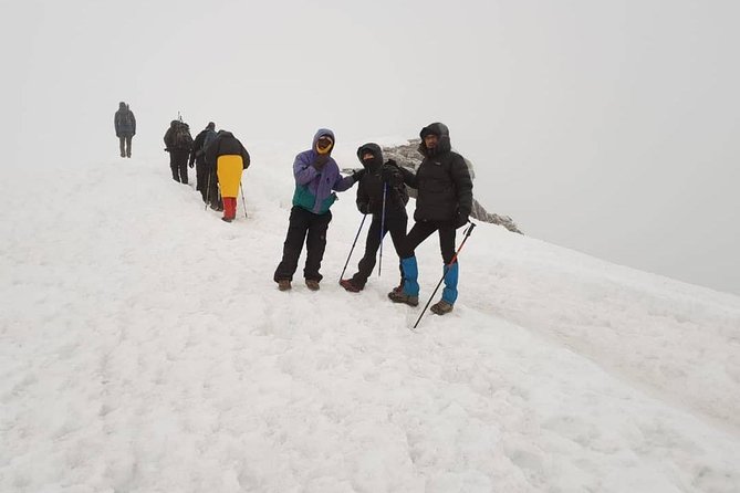 6-Day Kilimanjaro Machame Route – A Stunning Trek to Uhuru Peak - Day 6: Mweka Trail back to Moshi
