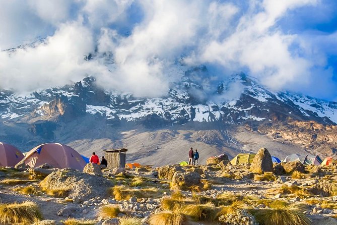 6-Day Kilimanjaro Umbwe Route–Steep,Adventurous, Challenging Path - Key points to know before booking