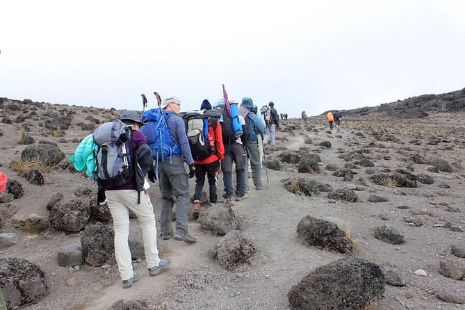 6-Day Kilimanjaro Umbwe Route–Steep,Adventurous, Challenging Path - What the six-day Umbwe Route is really like