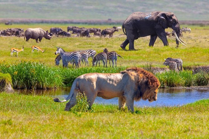 6-Day Luxury Tanzania Premium Safari - The crater rim makes a dramatic overnight stop