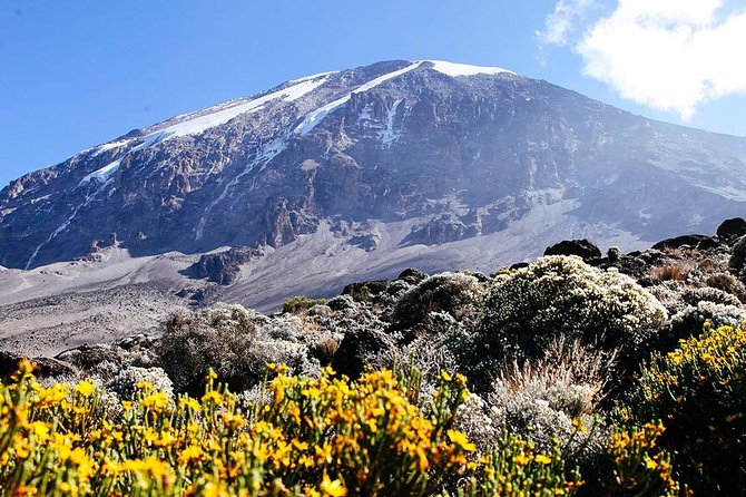 6 Day Machame Route - Climb Mount Kilimanjaro - Day 2: Into Machame’s wet rainforest