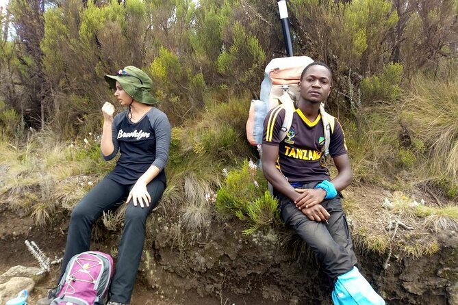 6 Day Machame Route - Climb Mount Kilimanjaro - Day 7: Forest descent and the return to Moshi