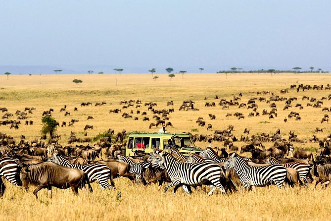6 Day: Magnificent Wildlife Adventure - Day one: Tarangire’s elephants and giant baobabs