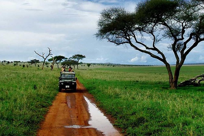 6 Day: Magnificent Wildlife Adventure - Day six: Lake Manyara, with one detail to confirm