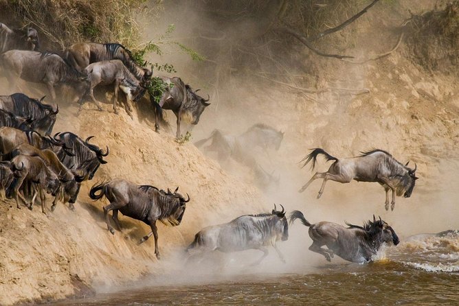 6 Day: Magnificent Wildlife Adventure - Day two: The long road into the Serengeti