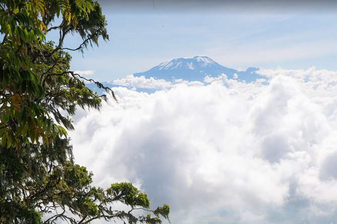 6-Day Mount Meru Climb through Momella Route Guided Tour - Meals, huts, and what the price covers