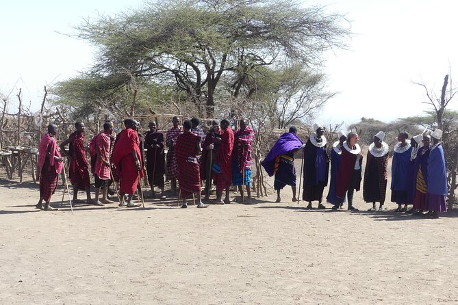 6-Day Northern Safari - Why this Northern Circuit route works