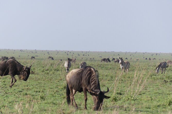 6-Day Northern Safari - Day six: a quiet breakfast and airport return