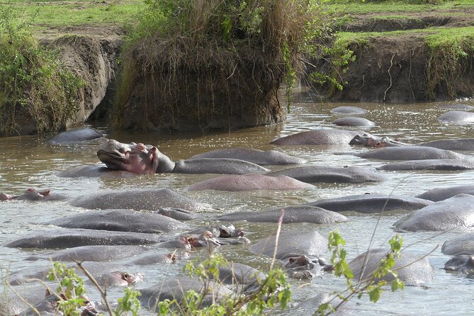 6-Day Northern Safari - Lodging, meals, and daily comfort