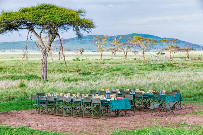 6 Day Private Camping Safari - Day 1: Arriving in Arusha